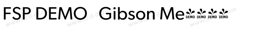 FSP DEMO   Gibson Me字体转换